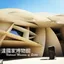 【Doha】The Breathtaking Desert Rose — National Museum of Qatar