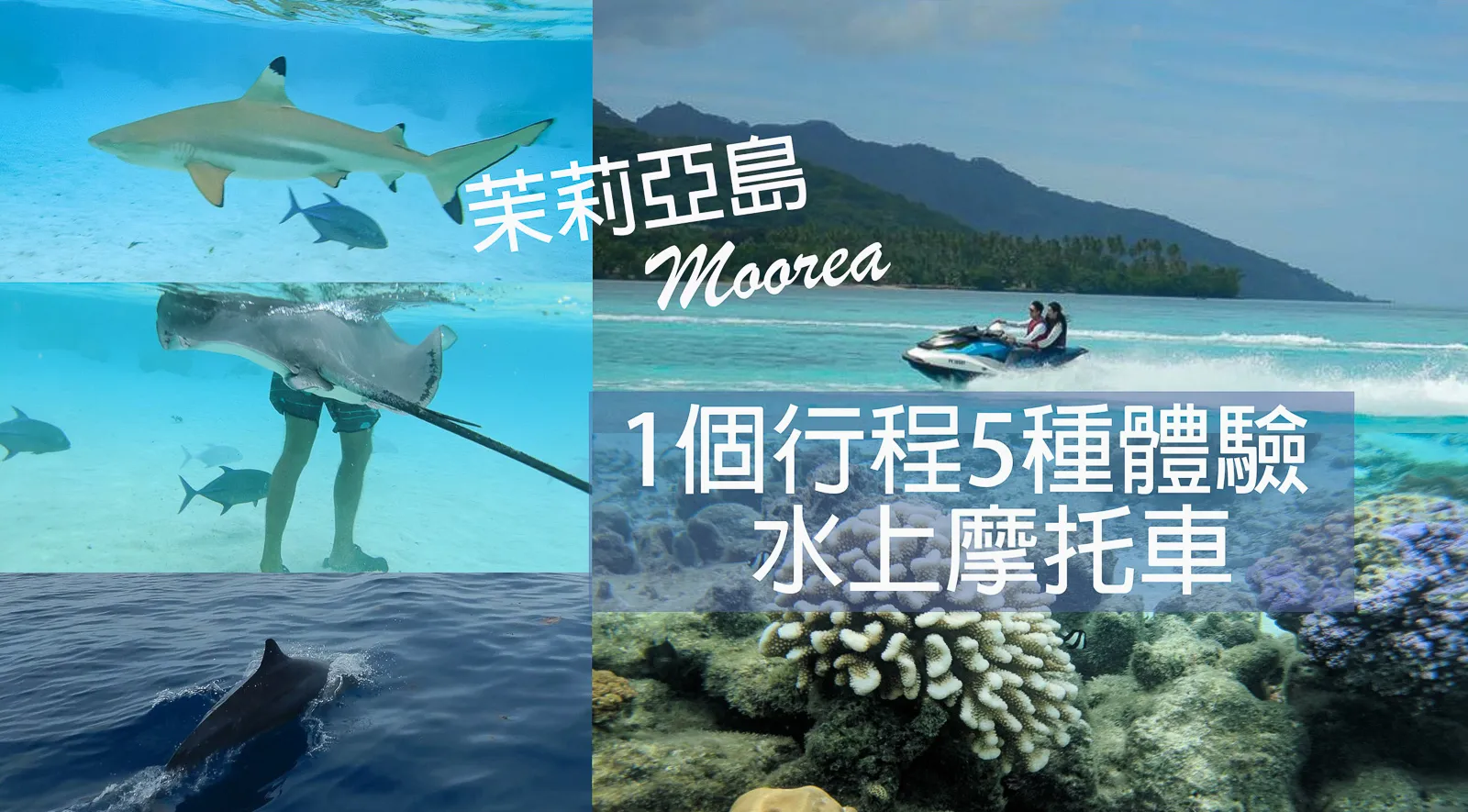 [Tahiti Travel] 1 Tour 5 Experiences | Must-Do Jet Ski in Moorea | Jet Ski