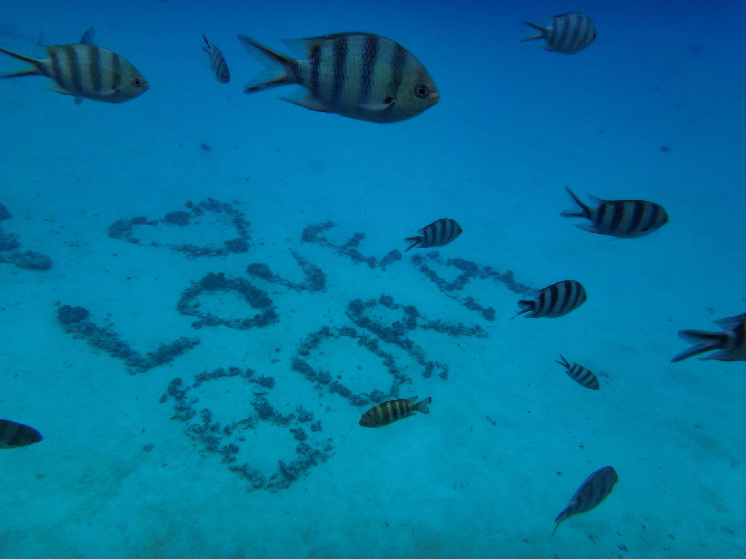 [Tahiti Travel] 7 Must-Visit Attractions, Itineraries, and Experiences in Bora Bora