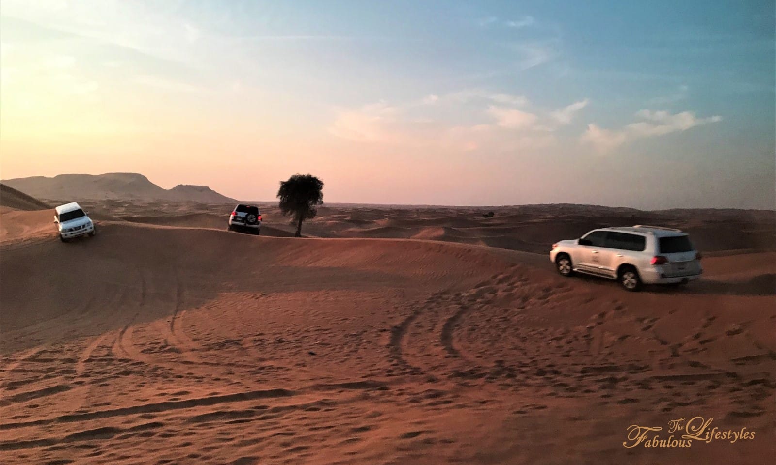Must-Do Dubai Desert Safari | Watch Out for Tourist Traps! | Desert Safari