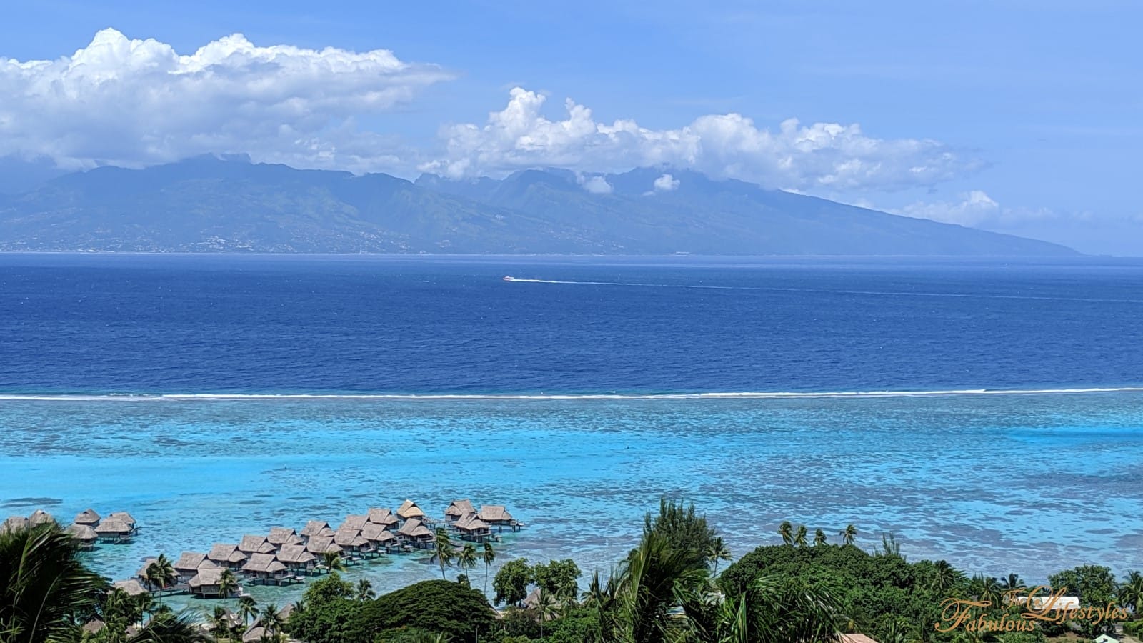 【Tahiti · Moorea】Stunning Ocean Views + Private Pool Villa ☆ Our Hidden Gem Accommodation Pick for Moorea