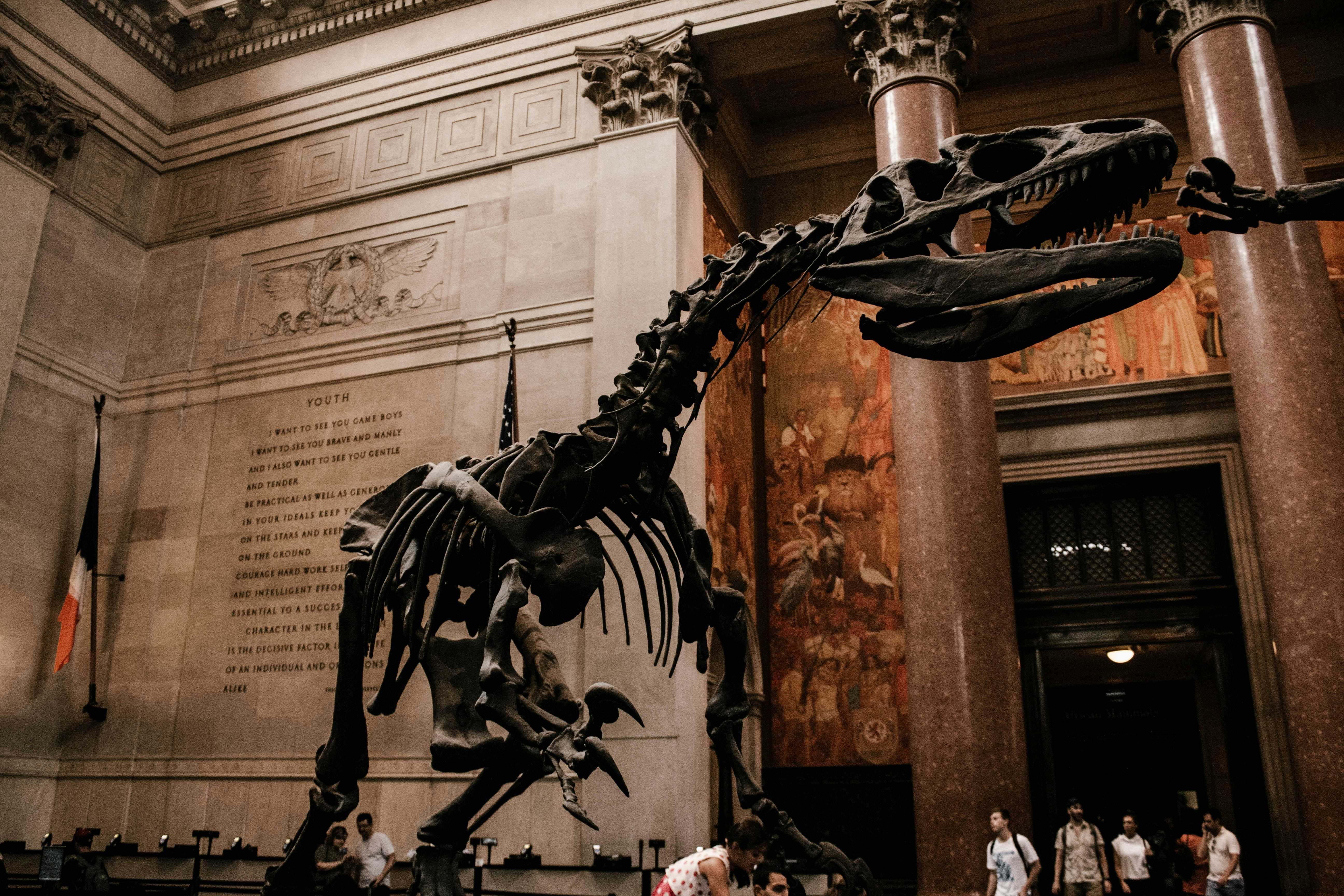 【New York】Complete Guide to 5 Attraction Passes | Which is the Best Deal? Ultimate Money-Saving Tips!