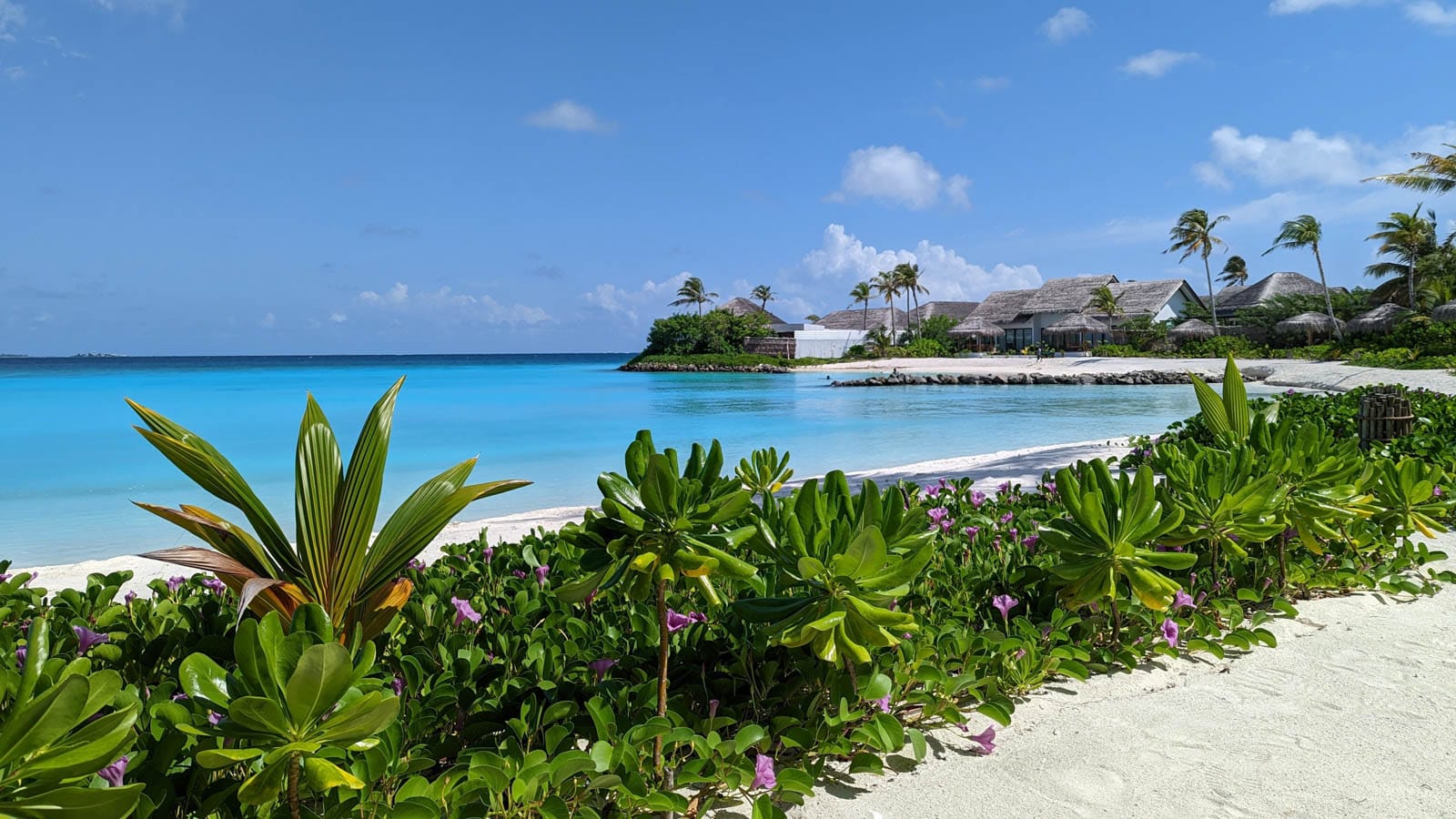 [Maldives · Hilton Amingiri Resort] Beach Villa Review | Hilton Maldives Amingiri Resort Beach Villa