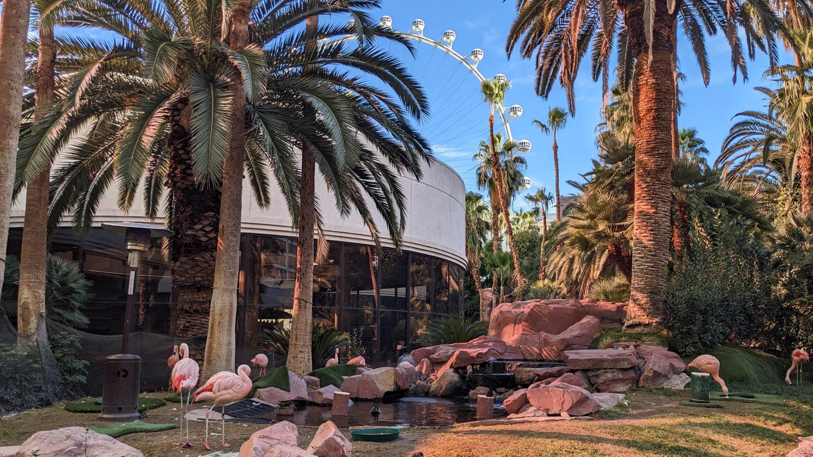 【Las Vegas Travel Guide】Flamingo Wildlife Habitat ★ A Peaceful Oasis in the Heart of the Dazzling Strip