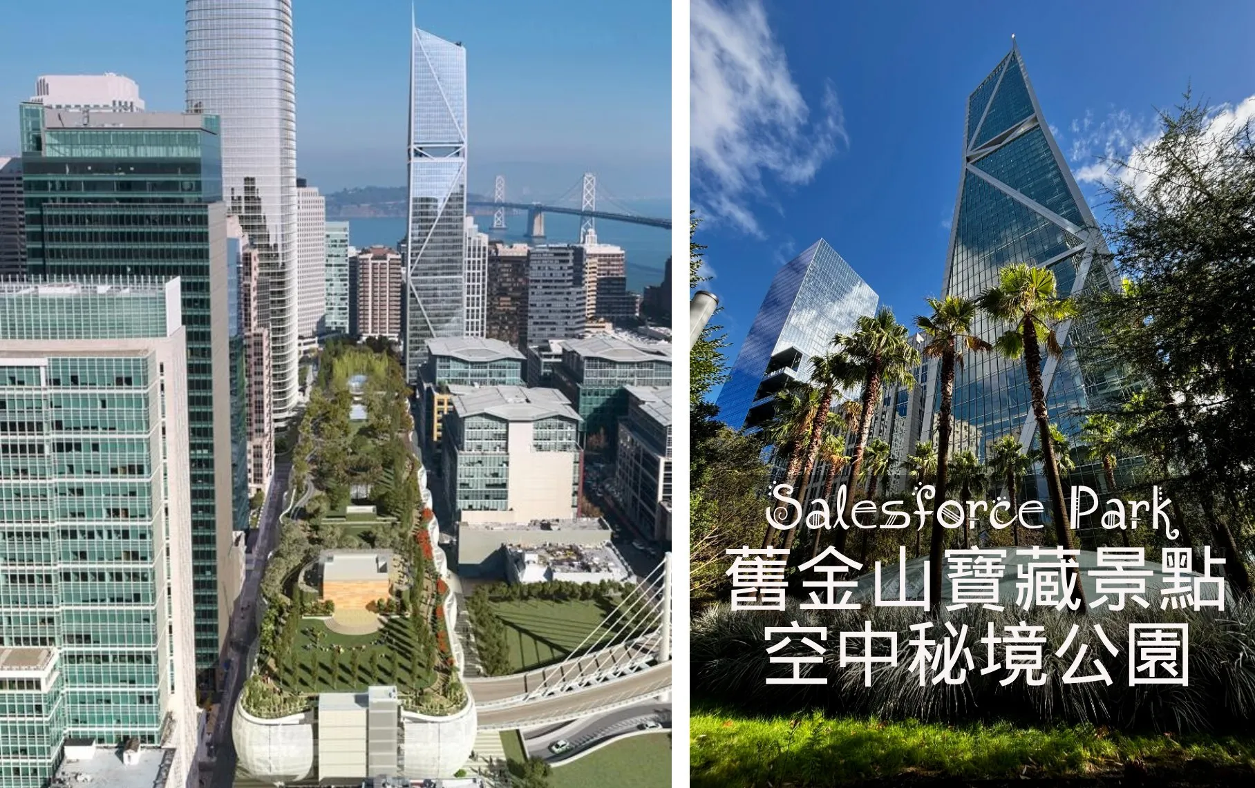 [San Francisco Travel] A Local's Secret Spot: The Hidden Park in the Sky | Salesforce Park