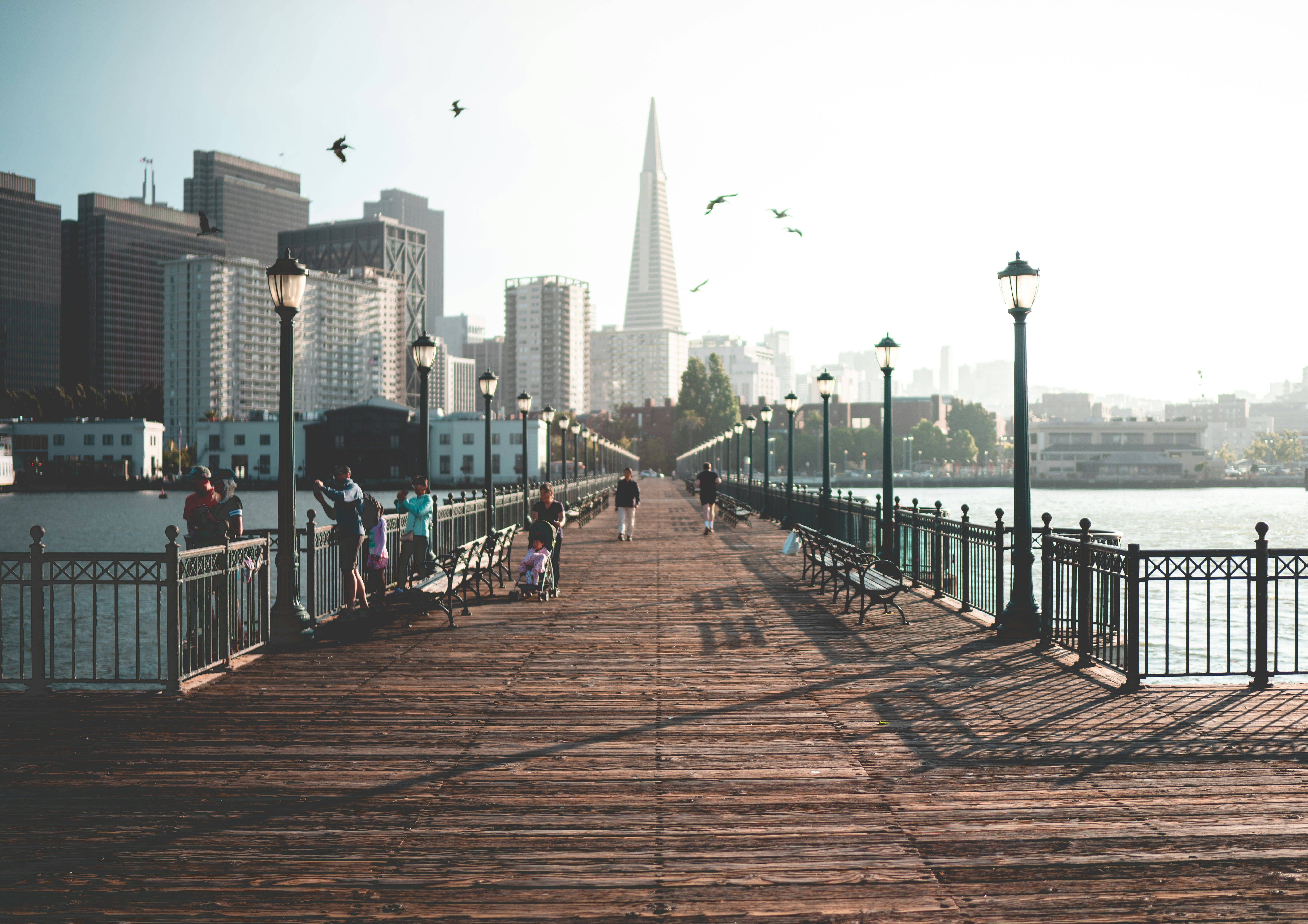 [San Francisco's Sky Guardian] Exploring the Unique Architecture of the Transamerica Pyramid