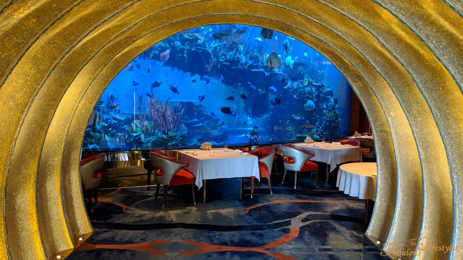 [Dubai] Burj Al Arab Underwater Restaurant ☆ The Golden Tunnel and a Gorgeous Underwater World