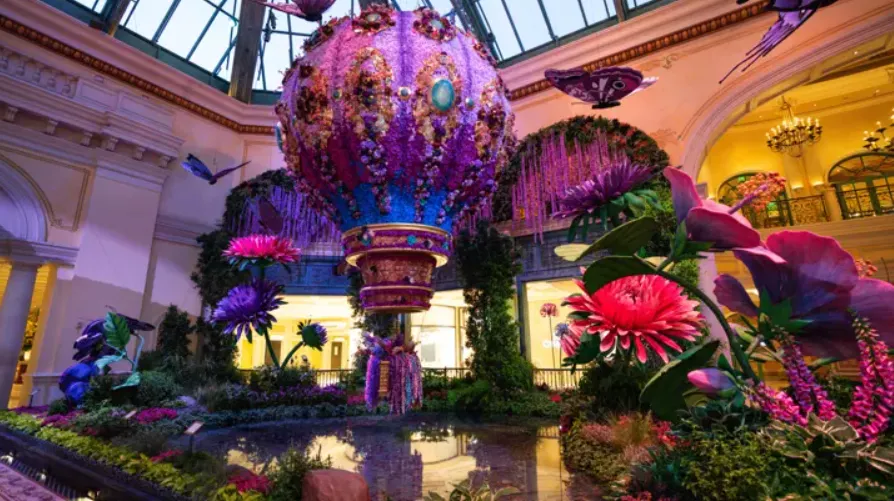 Image from official site - 2024 Summer Theme