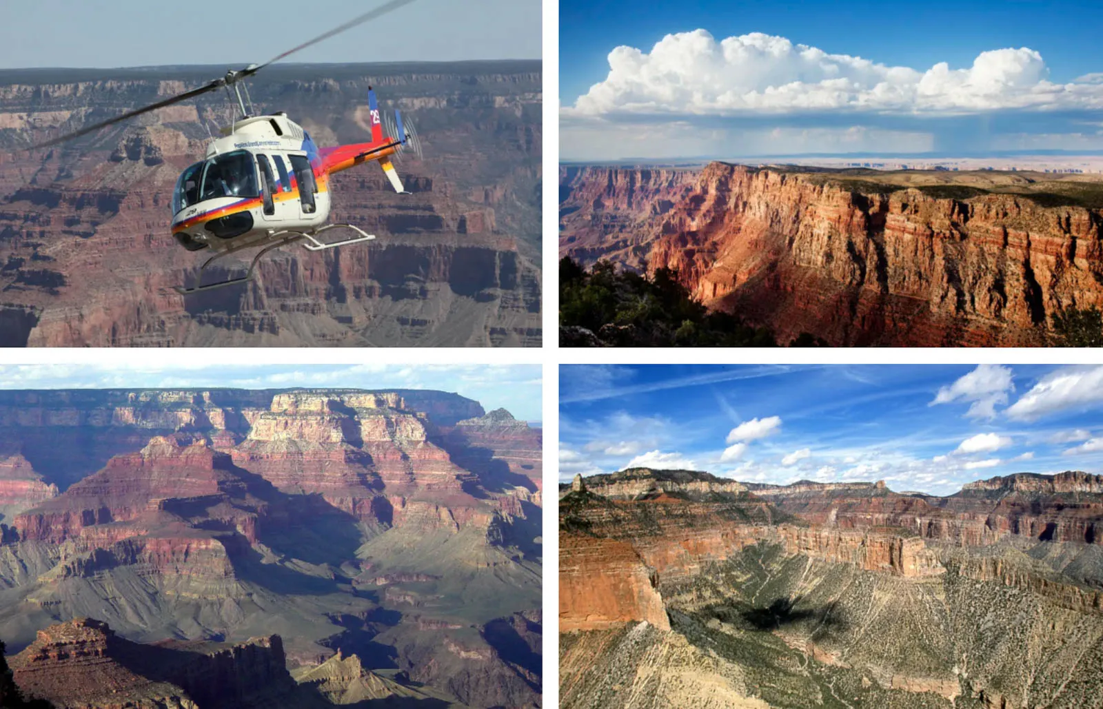 Image from the Internet