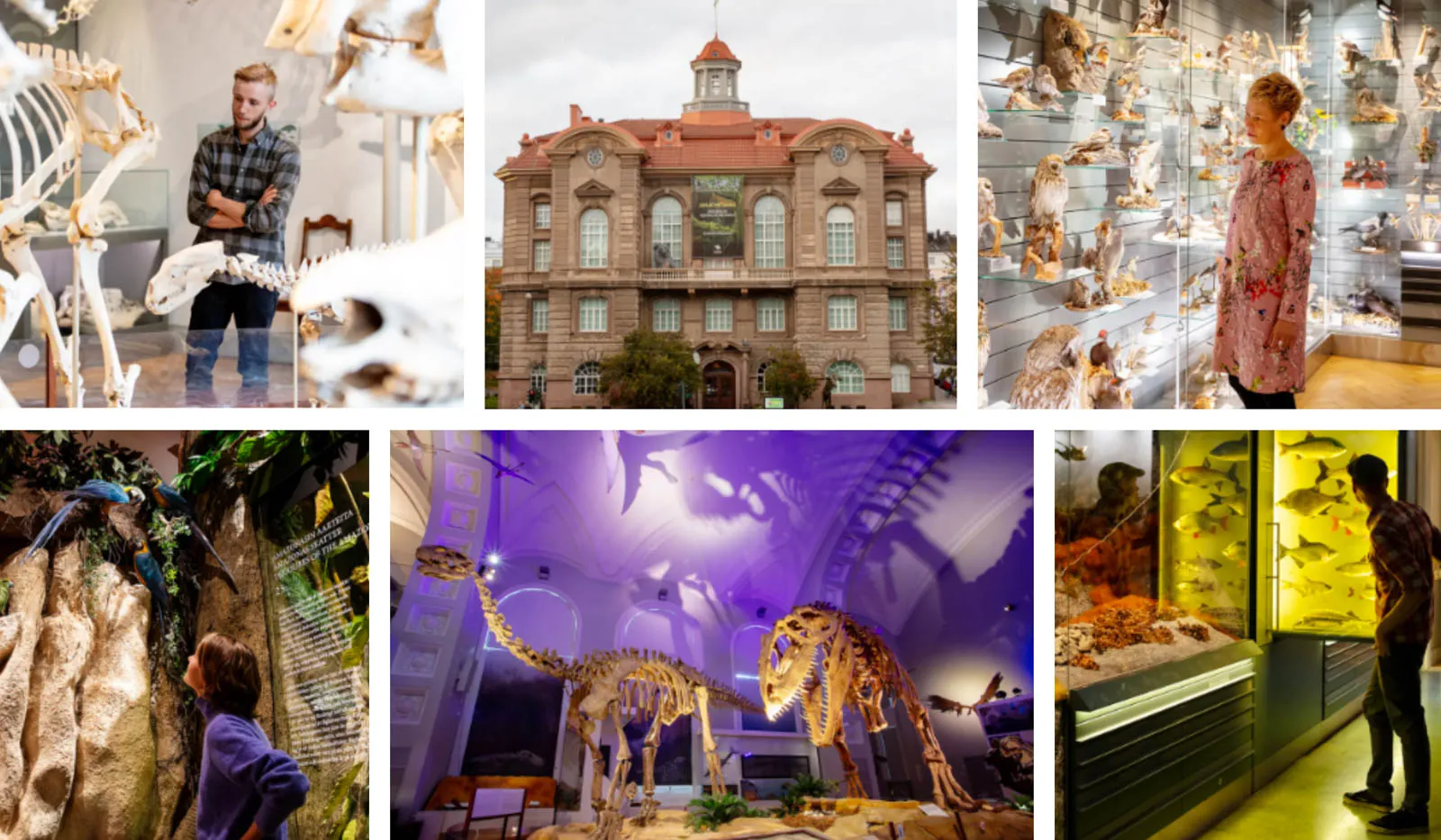 Image from official website