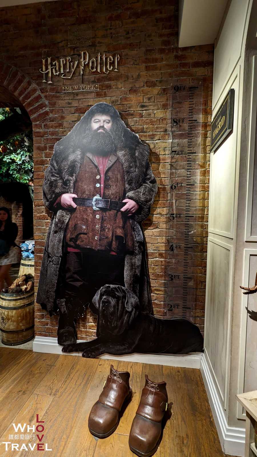 11 new york harry potter