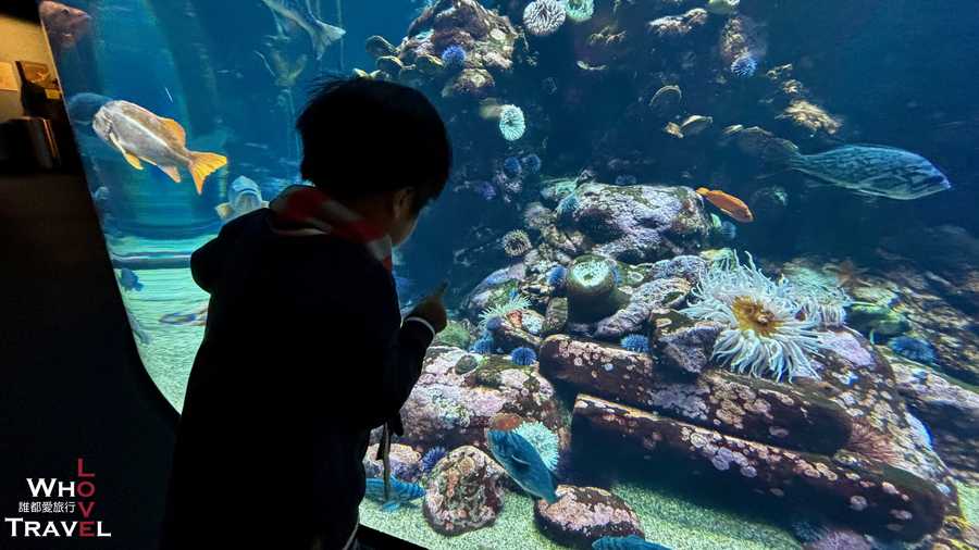 35 san francisco california academy of sciences