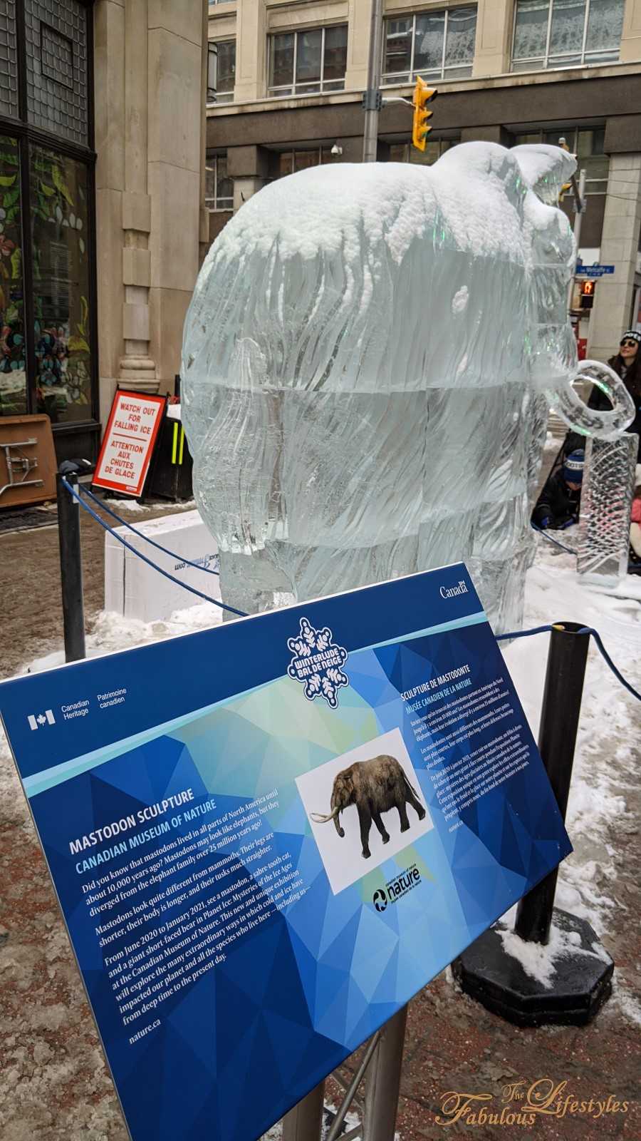 26 ottawa winterlude