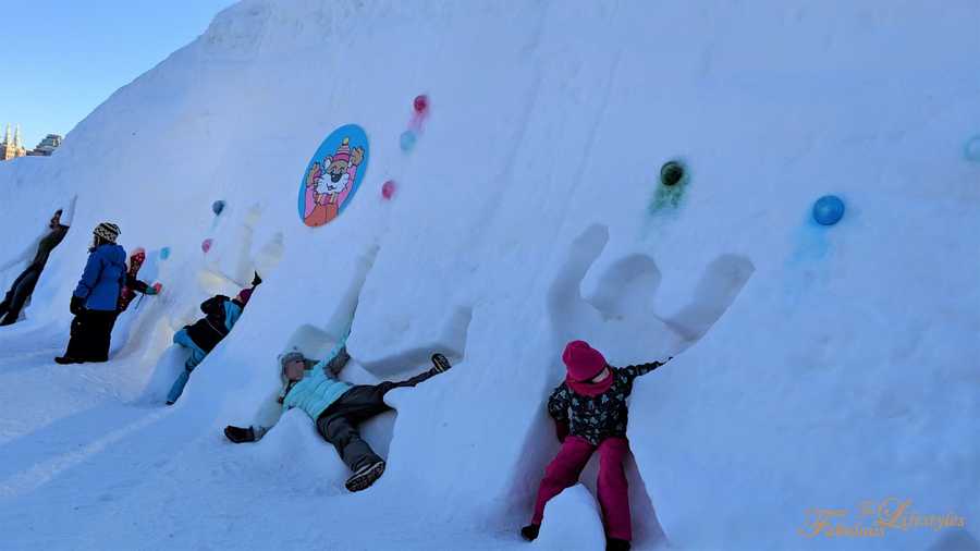 49 ottawa winterlude