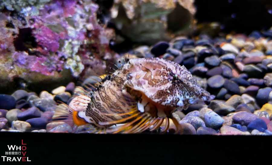 36 san francisco california academy of sciences