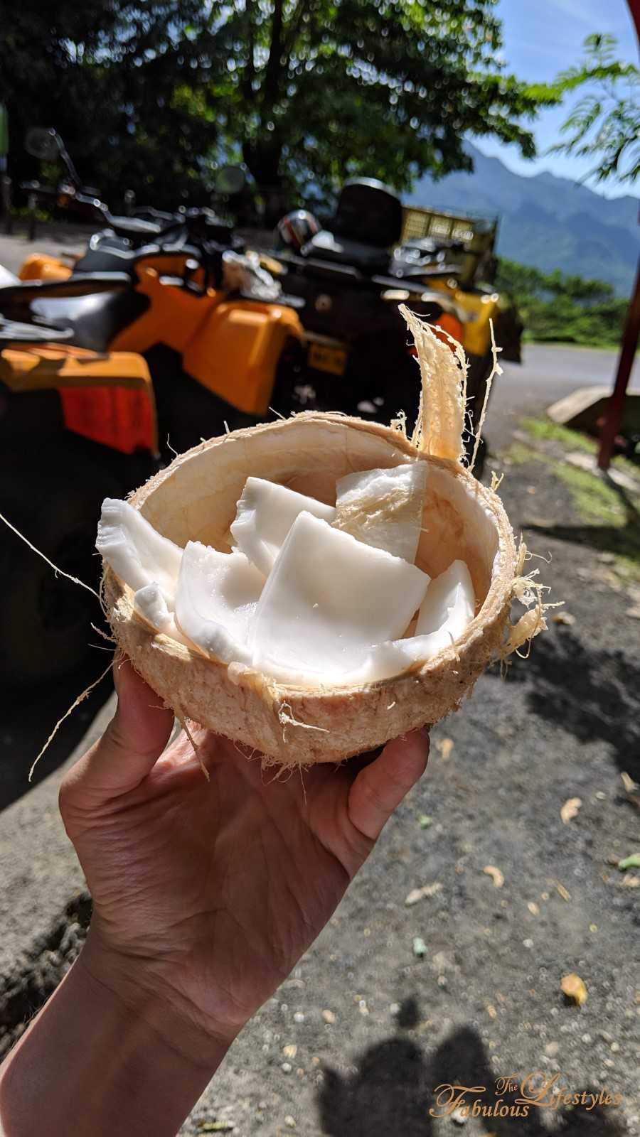 16 moorea atv