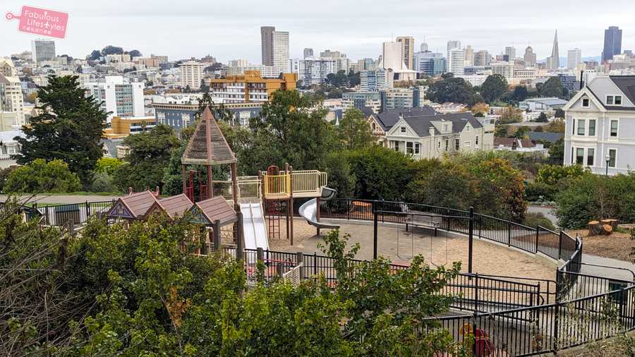 10 san francisco painted lady