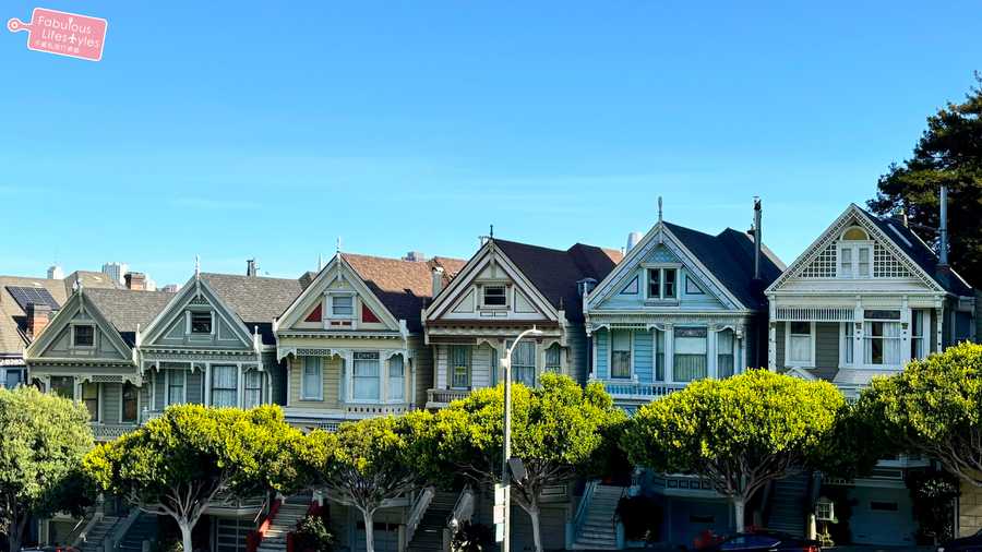 02 san francisco painted lady