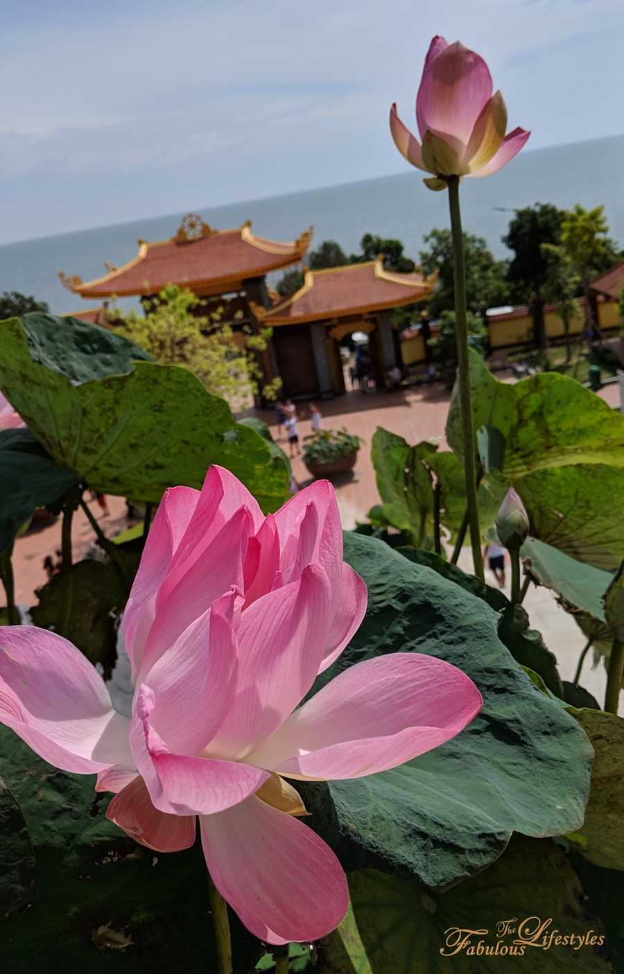 07 phu quoc pagoda