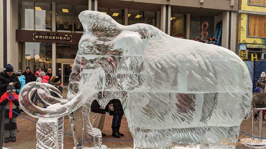 25 ottawa winterlude