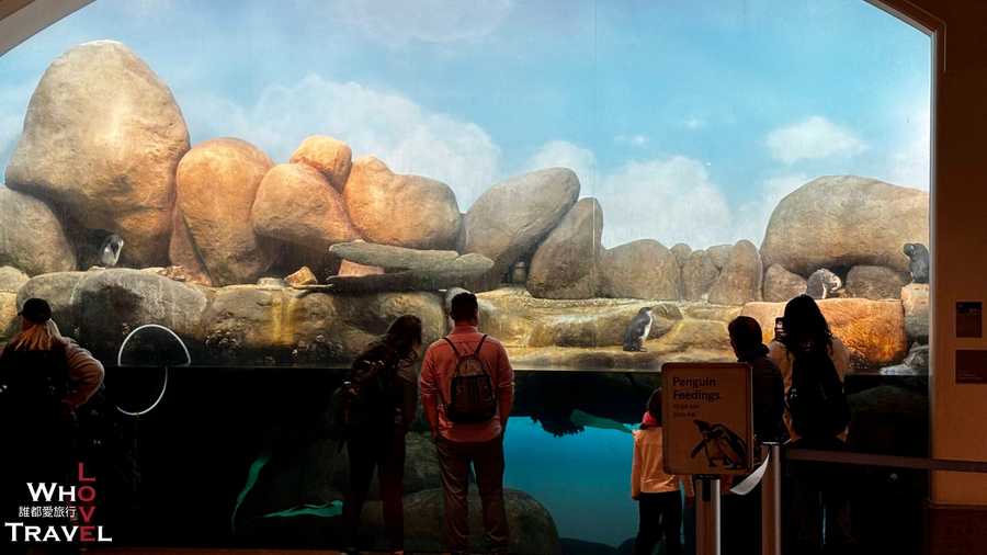 16 san francisco california academy of sciences